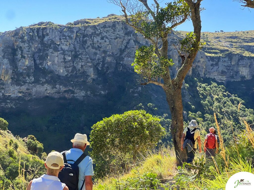 Expédition à travers la forêt