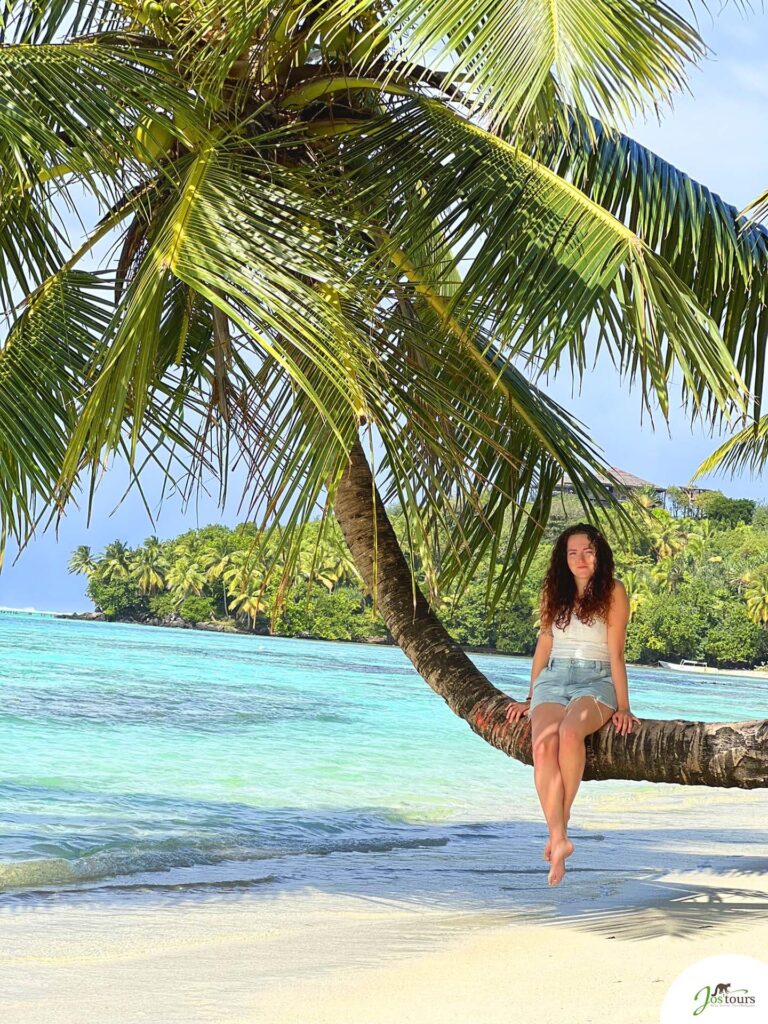 Une pause photo sur un palmier au bord de la mer