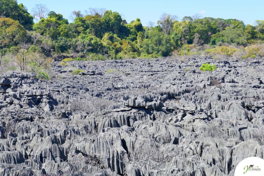 Petit Tsingy de l’Ankarana 