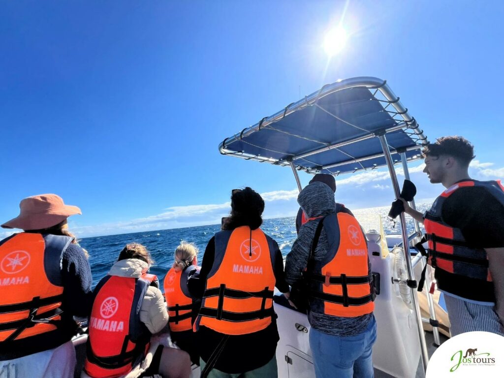 Une promenade en bateau sur la mer