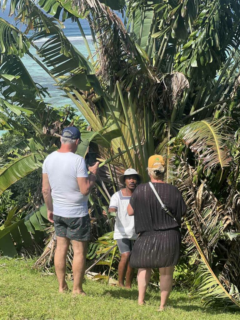 Un guide malgache présente un ravinala à des touristes lors d’une visite dans un parc