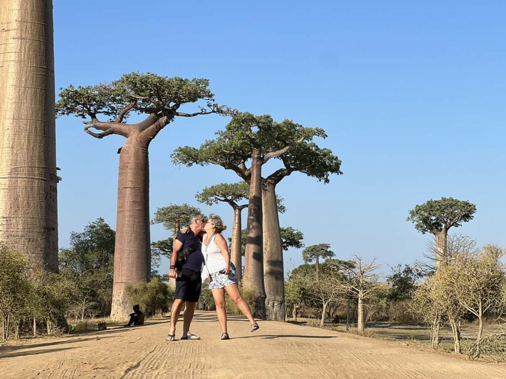 Coucher de soleil romantique sur l'Allée des Baobabs à Madagascar, voyage de noces haut standing
